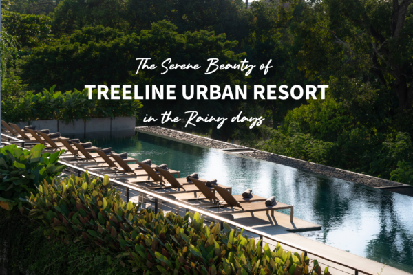 Treeline Poster article
